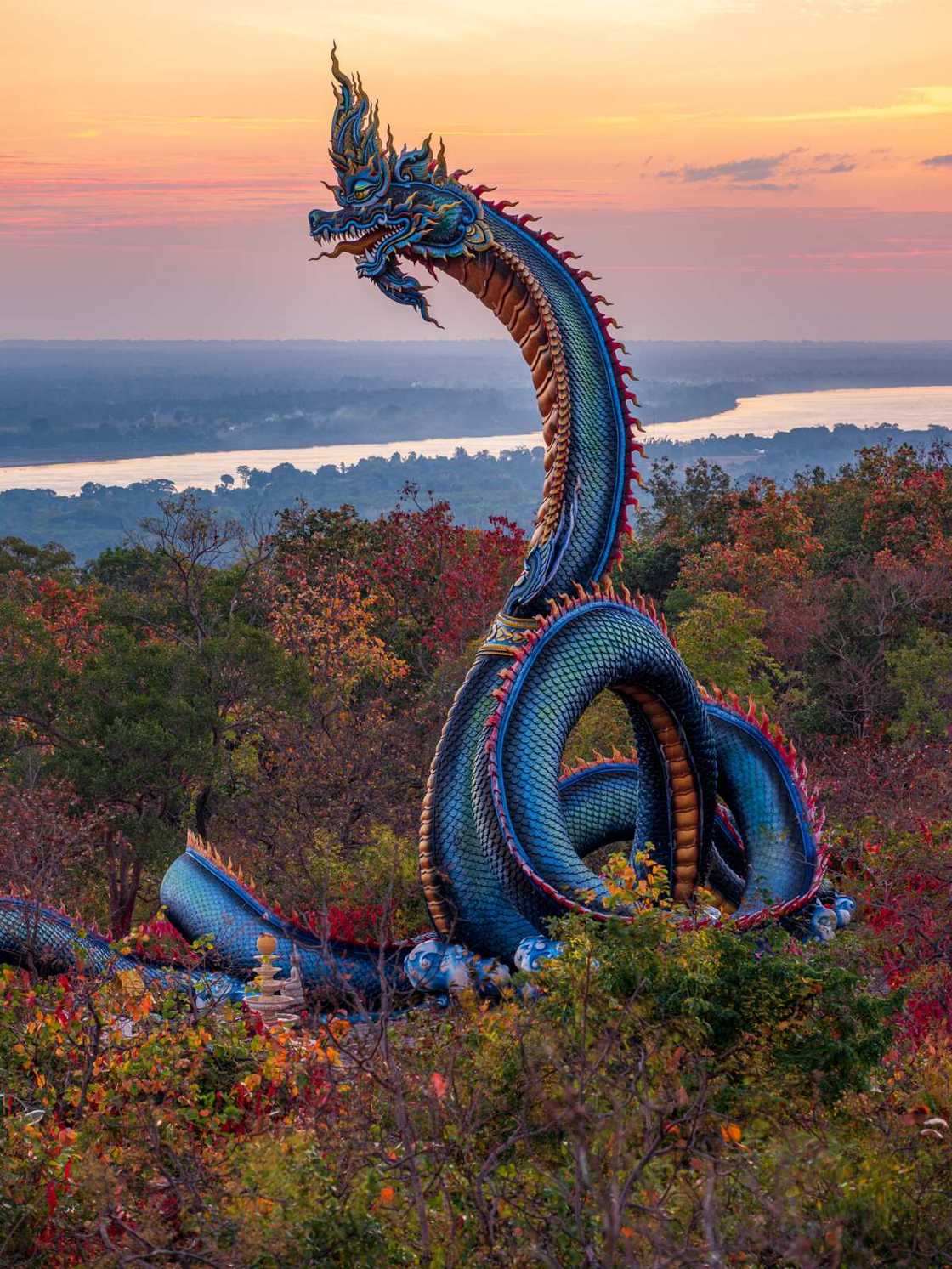 Different dragons Different dragons