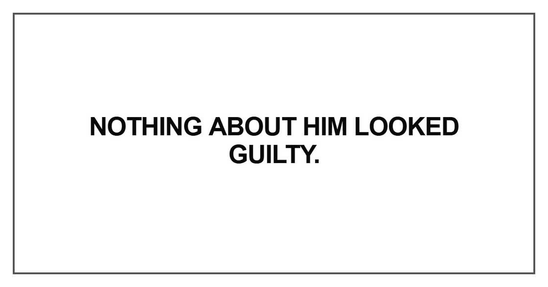 Nothing about him looked guilty Nothing about him looked guilty