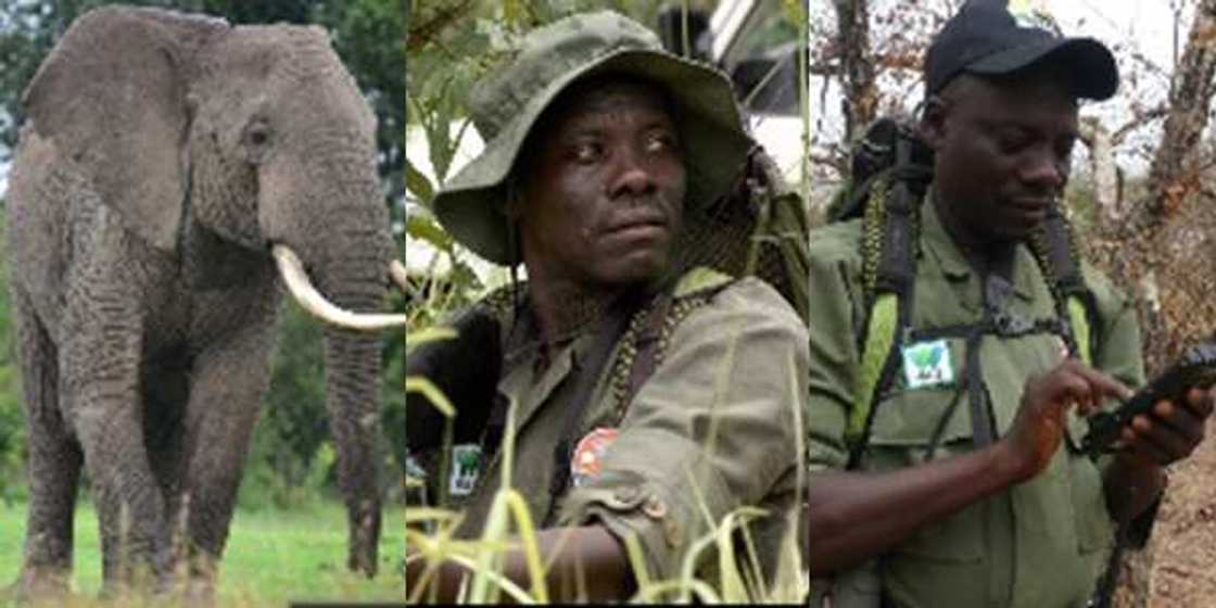 Nigerian man Suleiman Seidu awarded N16 million Naira for saving elephants in Yankari Game Reserve, Bauchi State. Nigerian man Suleiman Seidu awarded N16 million Naira for saving elephants in Yankari Game Reserve, Bauchi State.