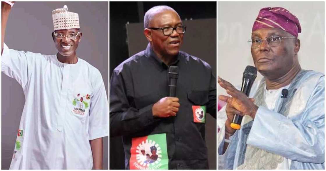 Yohanna Margif/ Atiku urged to withdraw petition /Obi urged to withdraw petition Yohanna Margif/ Atiku urged to withdraw petition /Obi urged to withdraw petition