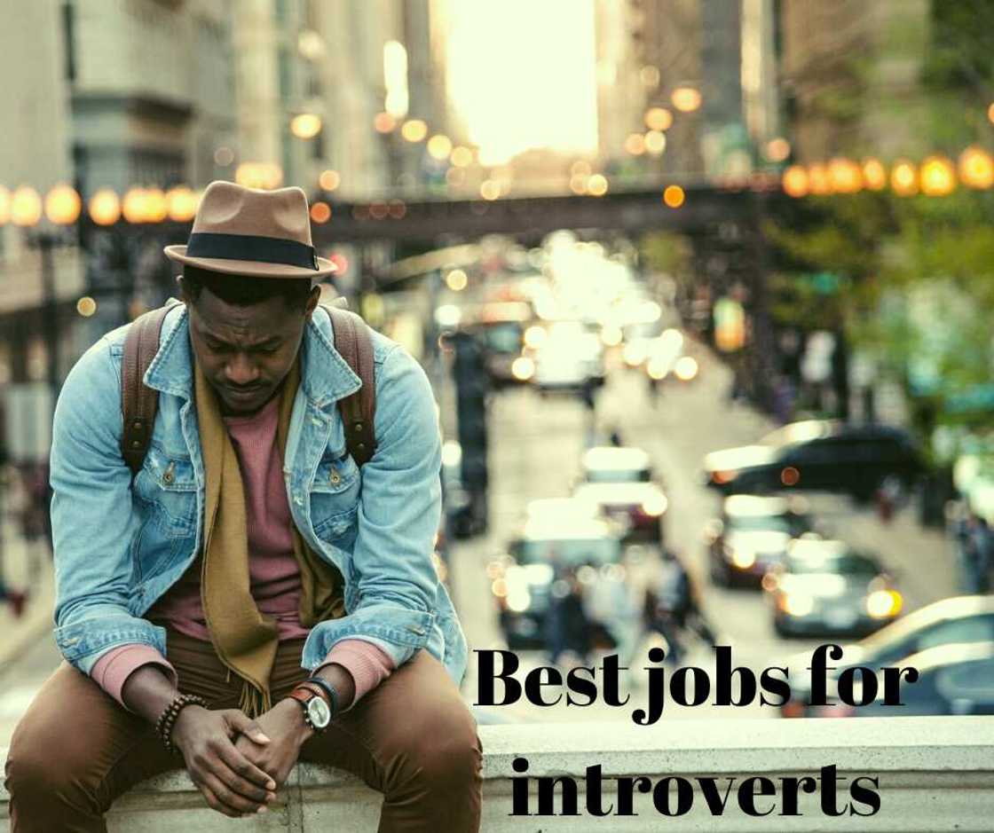 Jobs for introverts Jobs for introverts