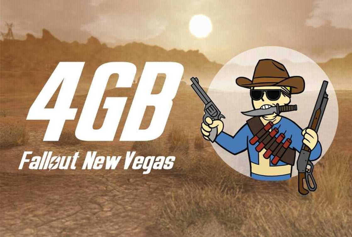 best new vegas mods