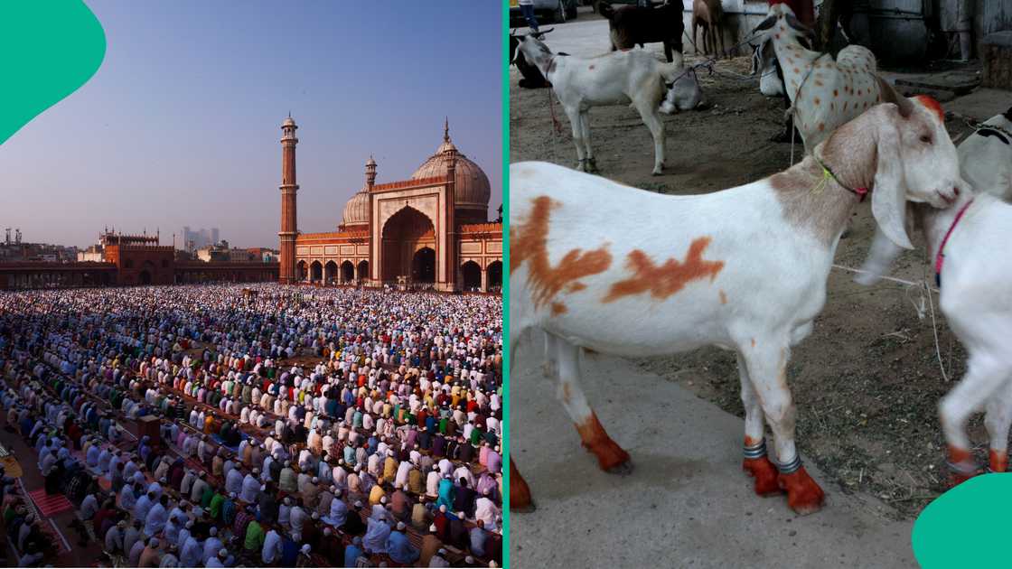 UAE residents enjoy a six‑day Eid Al Adha holiday break in May 2026. UAE residents enjoy a six‑day Eid Al Adha holiday break in May 2026.