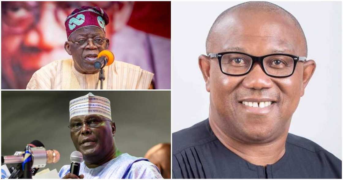 2023 presidential election, Peter Obi, APC, PDP, Labour Party, Bola Tinubu, Atiku Abubakar 2023 presidential election, Peter Obi, APC, PDP, Labour Party, Bola Tinubu, Atiku Abubakar