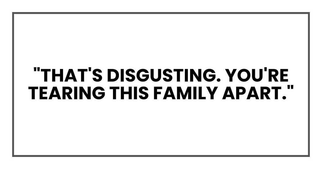 "That's disgusting. You're tearing this family apart." "That's disgusting. You're tearing this family apart."