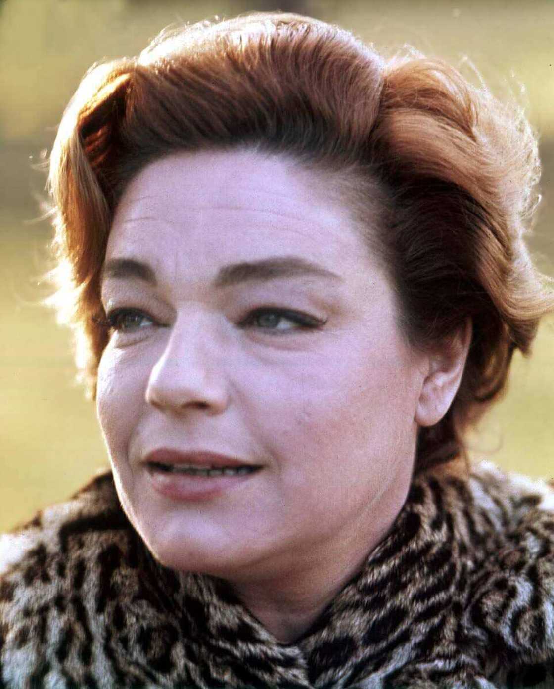 L'actrice populaire Simone Signoret
Photo : Avalon/Getty Images L'actrice populaire Simone Signoret
Photo : Avalon/Getty Images