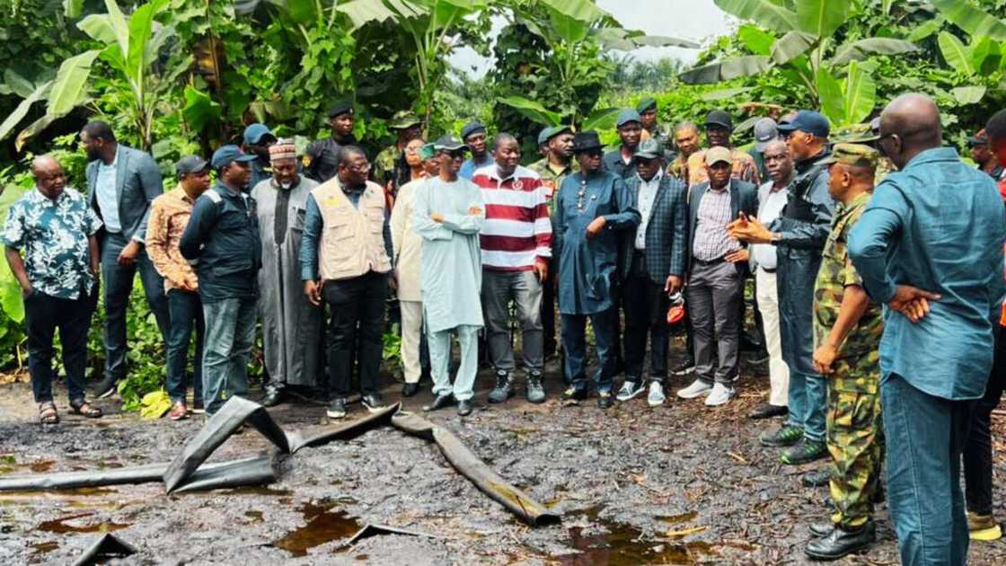 Nuhu Ribadu ya ce gangar mai 400,000 ake sacewa kullum a Najeriya