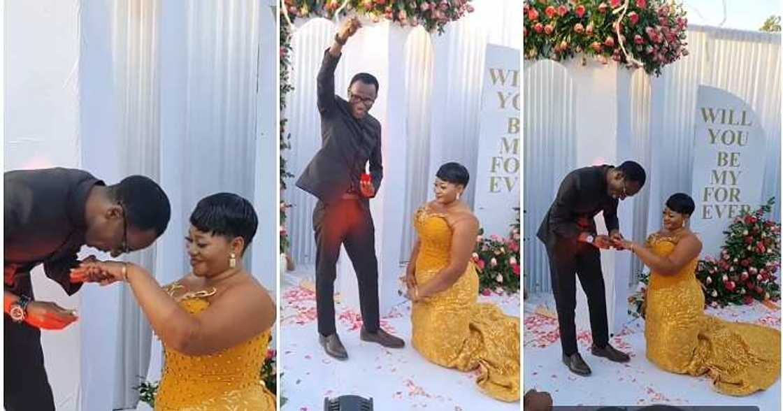 Lady kneels during proposal Lady kneels during proposal