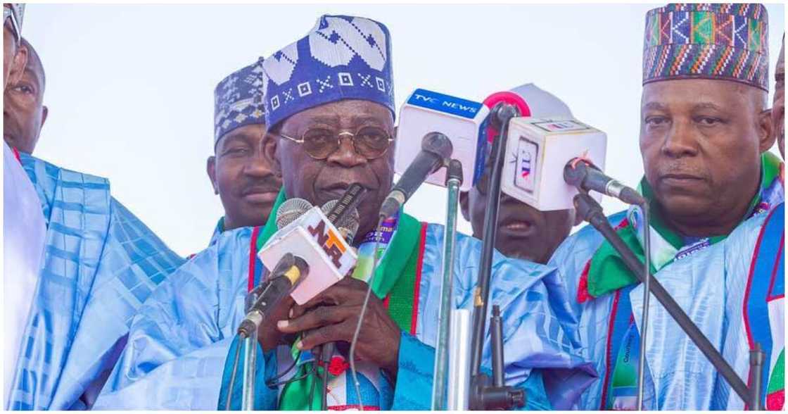 Tinubu/tinubu news/latest tinubu news/tinubu news today/May 29 Tinubu/tinubu news/latest tinubu news/tinubu news today/May 29