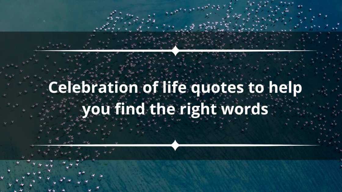 celebration of life quotes