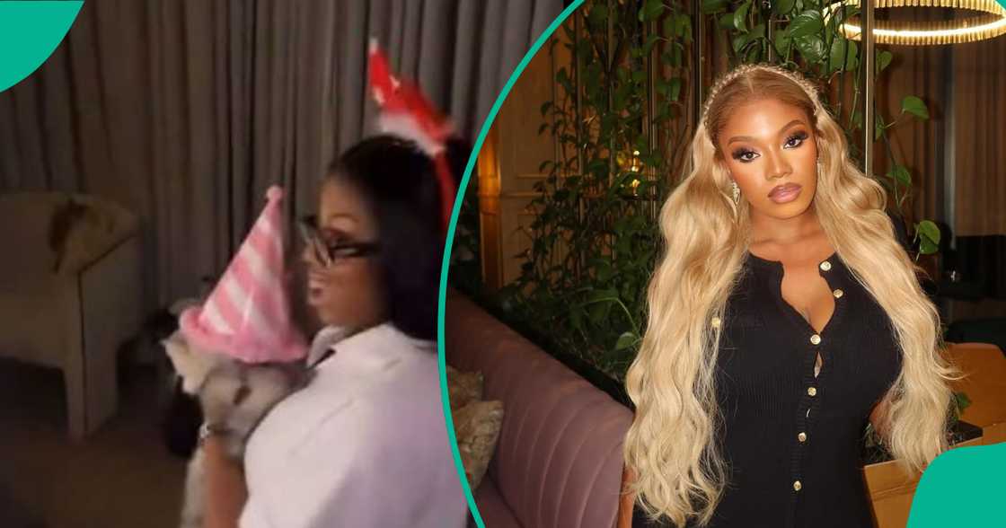 Angel Smith was in celebration mood with friends in attendance to mark her cat's birthday Angel Smith was in celebration mood with friends in attendance to mark her cat's birthday