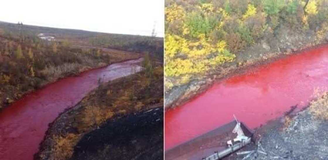 Allah-mai-iko: Wata koramar ruwa ta rikide ta koma ta jini a kan idon al'umma a Rasha (Hotuna) Allah-mai-iko: Wata koramar ruwa ta rikide ta koma ta jini a kan idon al'umma a Rasha (Hotuna)