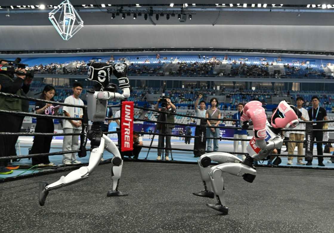 Two robots fight in a free combat style event during the World Humanoid Robot Games in Beijing on Friday