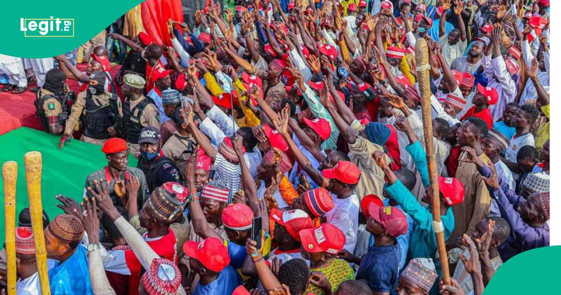 Yan Kwankwasiyya.