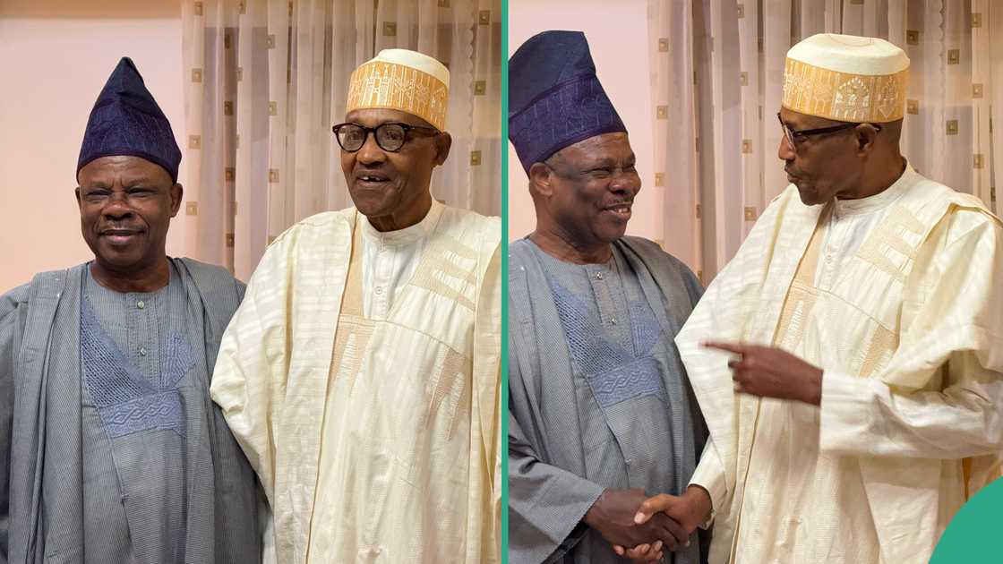 Buhari at 82: Amosun, others sing for former president