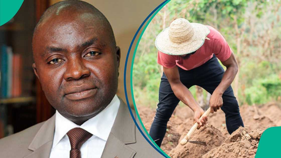 The Chief Executive Officer of the Centre for the Promotion of Private Enterprise (CPPE), Dr Muda Yusuf, has expressed concerns for farmers over disinflation.