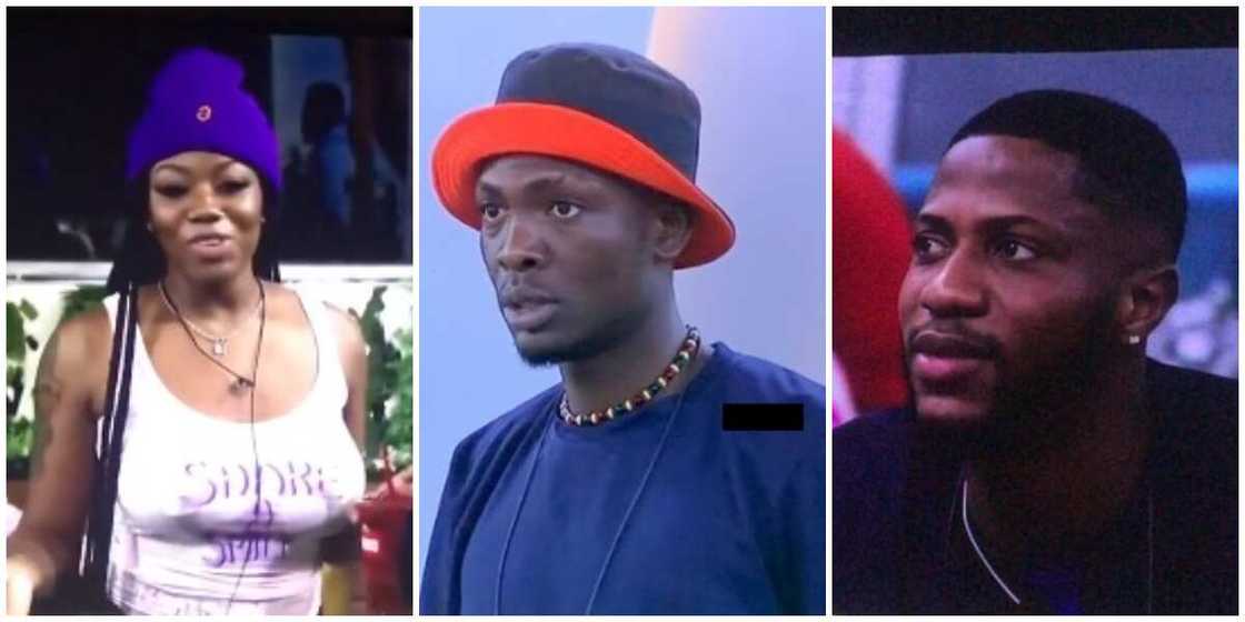 Photos of Angel, Sammie, and Kayvee. Photos of Angel, Sammie, and Kayvee.