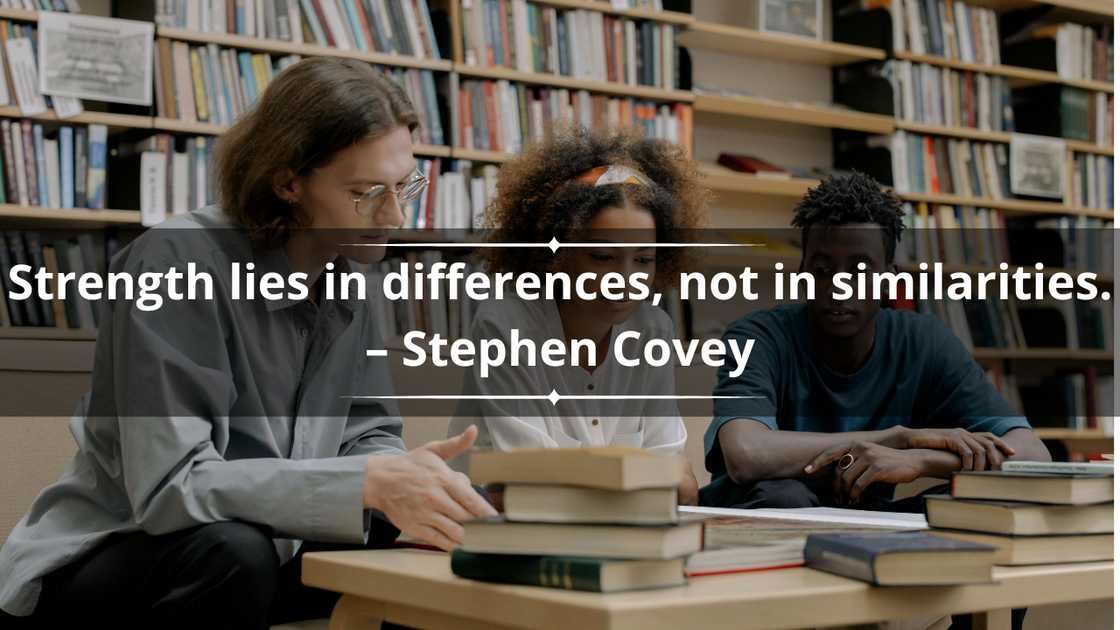 Diversity quotes for students