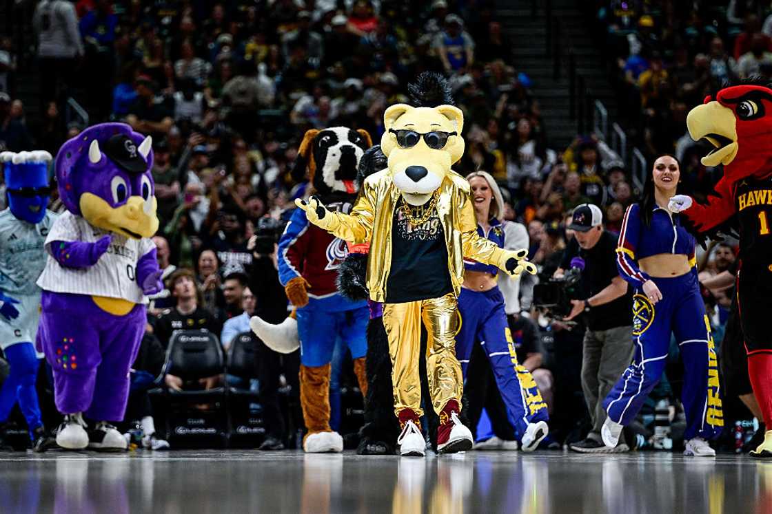 Denver Nuggets mascot Rocky is joined by other mascots, including Colorado Rockies mascot Dinger, at Ball Arena in Denver, Colorado Denver Nuggets mascot Rocky is joined by other mascots, including Colorado Rockies mascot Dinger, at Ball Arena in Denver, Colorado