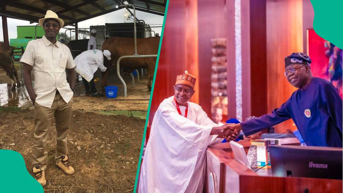 Ministan Tinubu ya yi magana kan ayyukan da zai fara yi a ma'aikatar harkokin dabbobi. Ministan Tinubu ya yi magana kan ayyukan da zai fara yi a ma'aikatar harkokin dabbobi.