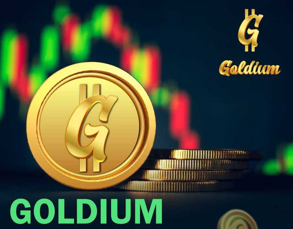 Earn 25% Profit in a Legit New Crypto Project Sign MOU with Lawyer for Trust Earn 25% Profit in a Legit New Crypto Project Sign MOU with Lawyer for Trust