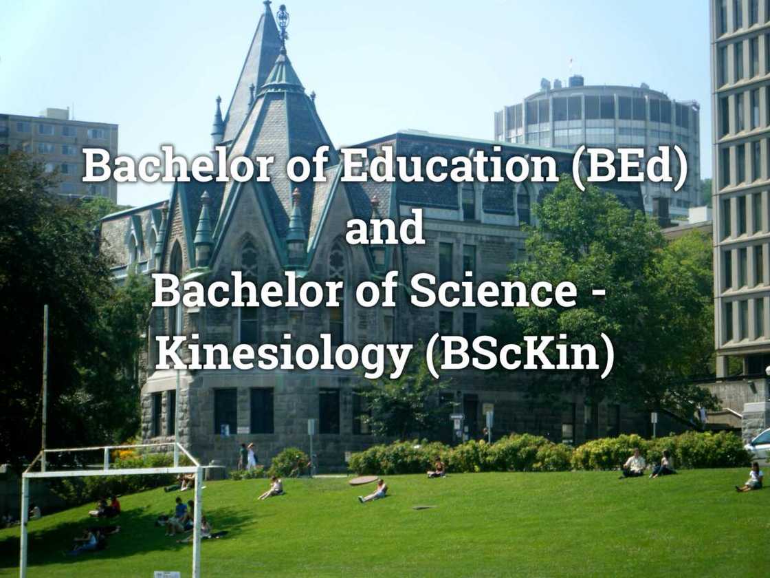 Bachelor of Science Kinesiology Bachelor of Science Kinesiology