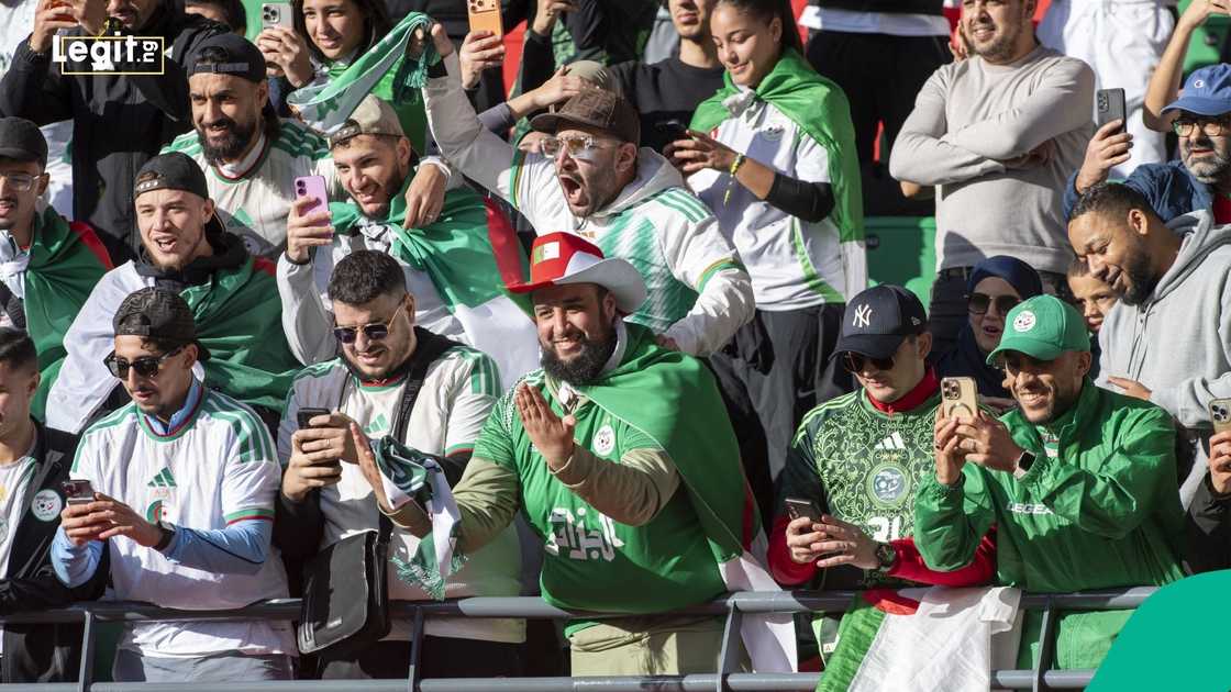 Super Eagles, Nigeria, Algeria, 2025 AFCON, Morocco, Football. Super Eagles, Nigeria, Algeria, 2025 AFCON, Morocco, Football.