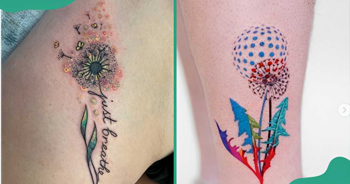 Colourful dandelion tattoos on the legs (L) and arms (R). Colourful dandelion tattoos on the legs (L) and arms (R).