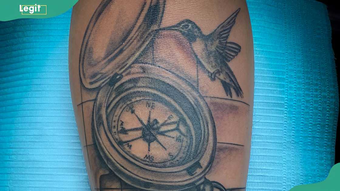 Hummingbird and compass tattoo