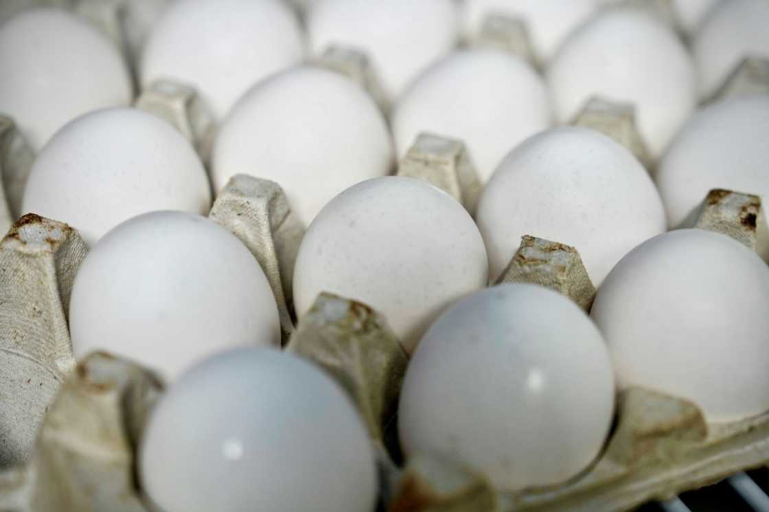 A carton of eggs sit in a fridge in the ghost kitchen of Annie Clemmons, where she operates online bakery Chapman's DC