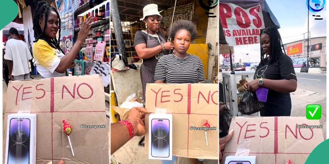 Photo of young ladies Photo of young ladies
