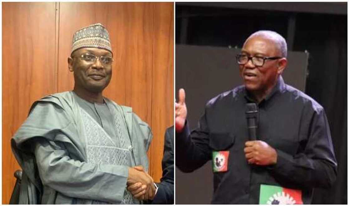INEC, Peter Obi INEC, Peter Obi