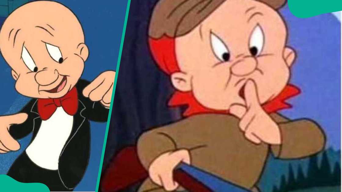 Elmer J. Fudd from Looney Tunes