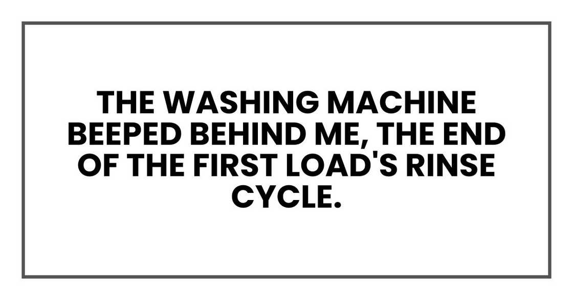 The washing machine beeped behind me, the end of the first load's rinse cycle.