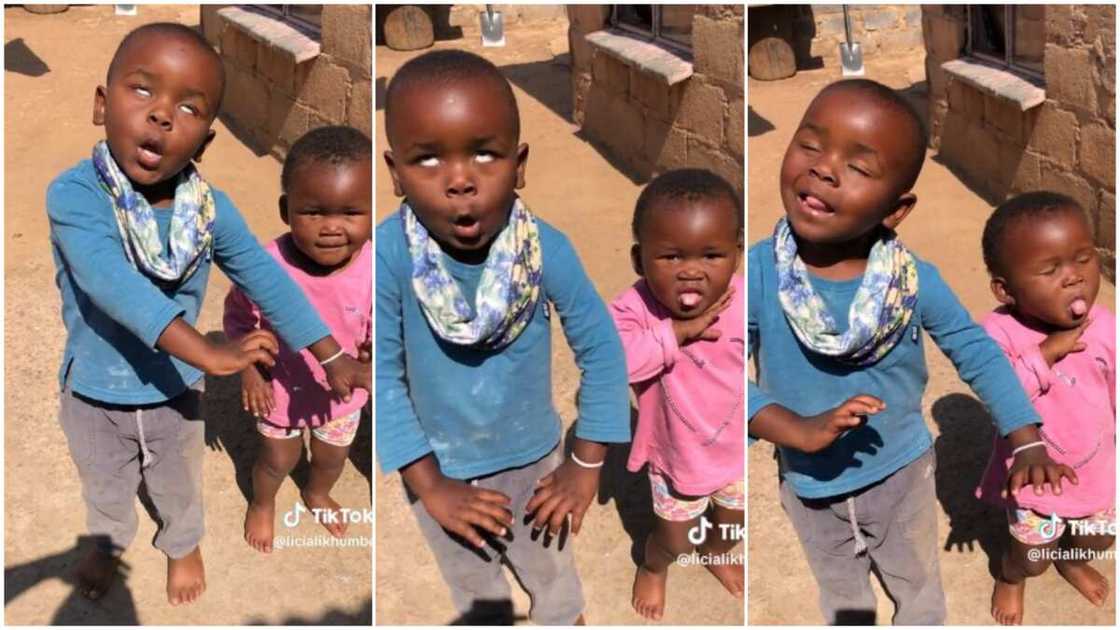 Two kids thrill Tiktokers with their funny dancing steps.Photo source:Tiktok/ @licialikhumbe Two kids thrill Tiktokers with their funny dancing steps.Photo source:Tiktok/ @licialikhumbe