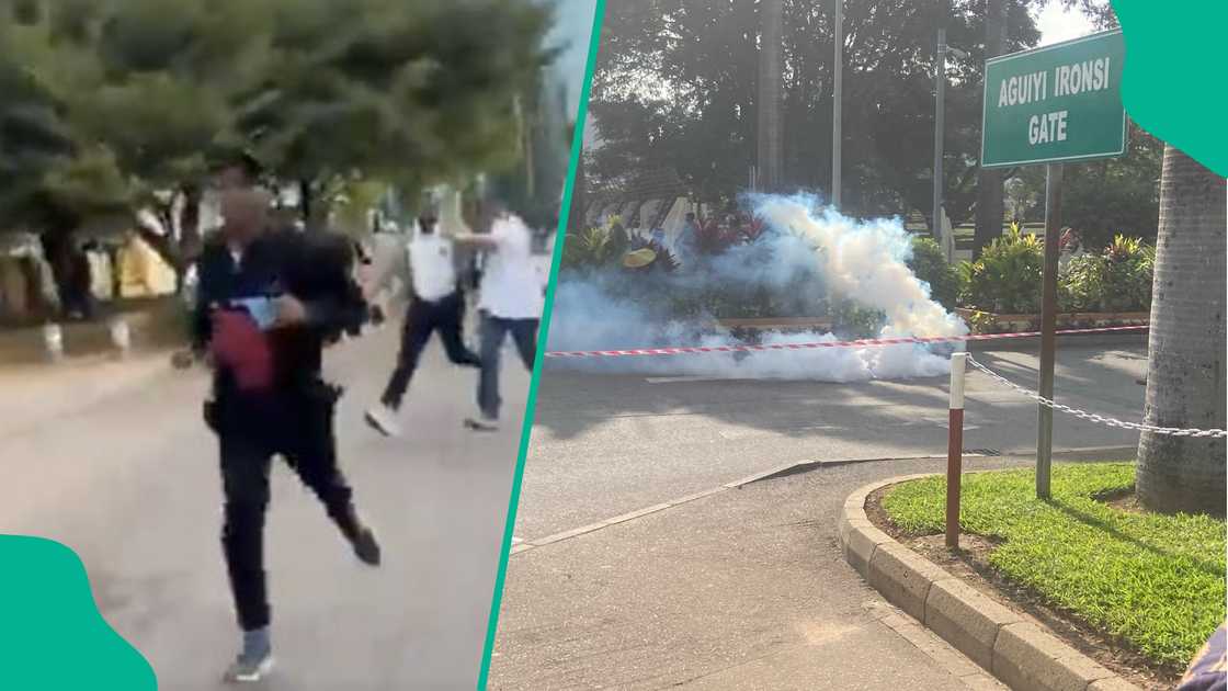 Protesters wave banners and chant for the release of detained IPOB leader, Nnamdi Kanu. Protesters wave banners and chant for the release of detained IPOB leader, Nnamdi Kanu.