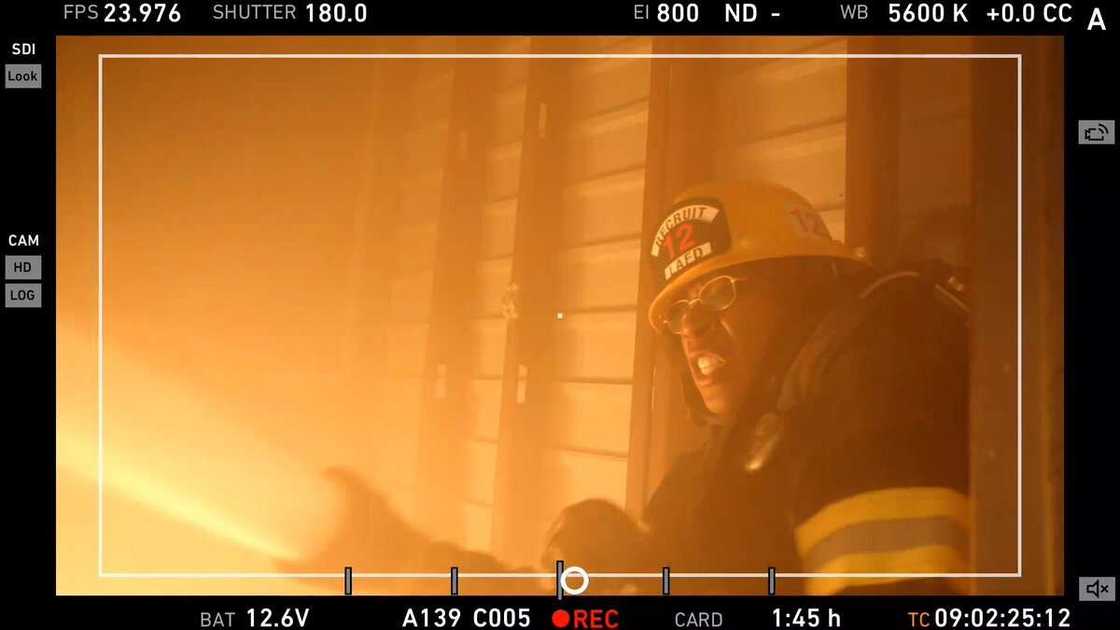 Aisha Hinds actress Aisha Hinds actress