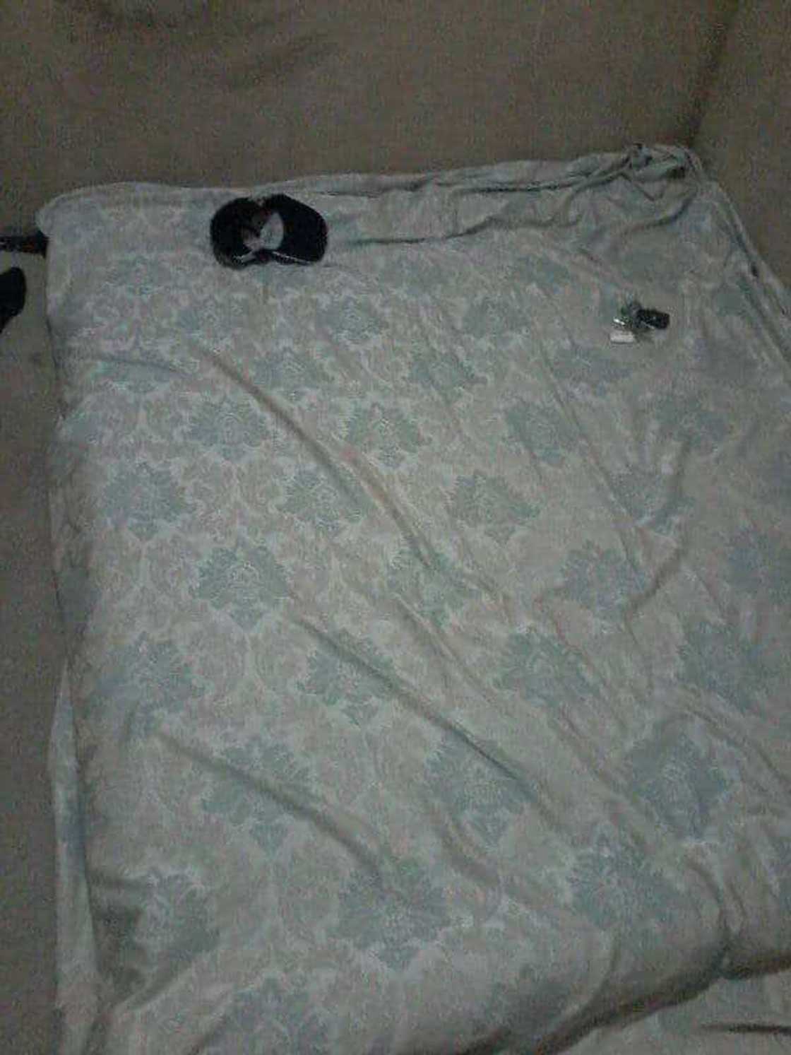 View of her new bed View of her new bed