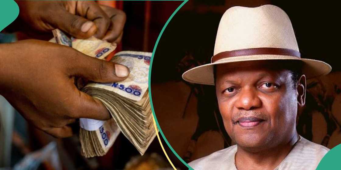 Atedo Peterside explains why naira keeps falling