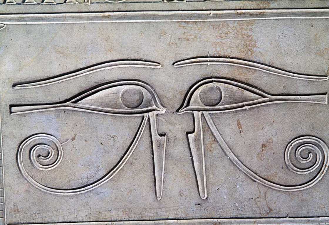 Symbol of strength and courage Symbol of strength and courage