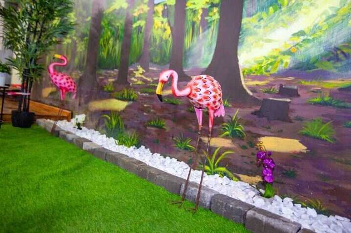 BBNaija 2019: Breathtaking interior of the Big Brother house (Photos) BBNaija 2019: Breathtaking interior of the Big Brother house (Photos)