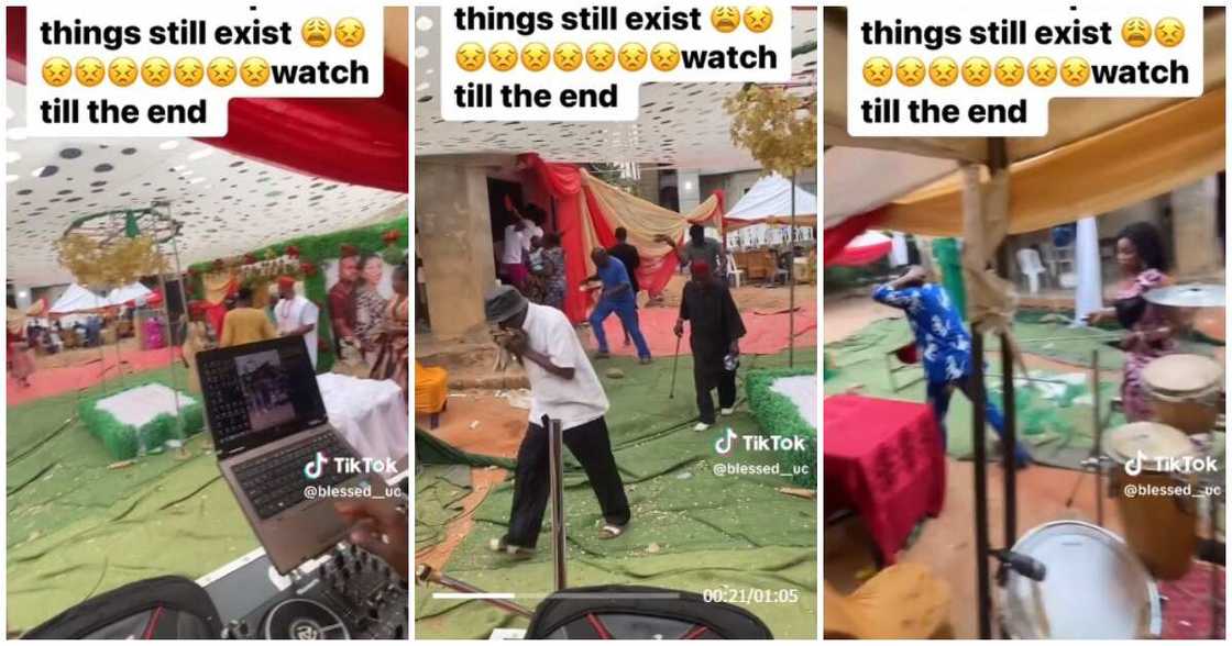 Anambra wedding, bees attack guests Anambra wedding, bees attack guests