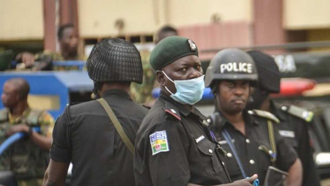 US-based Nigerian escapes from kidnappers’ den in Abia forest US-based Nigerian escapes from kidnappers’ den in Abia forest