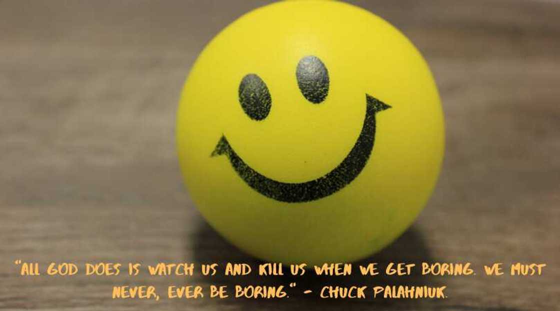 Funny quotes about life lessons Funny quotes about life lessons