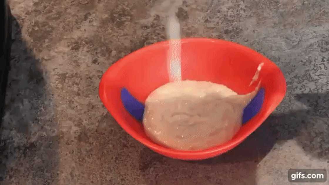 prepare Quaker oats prepare Quaker oats