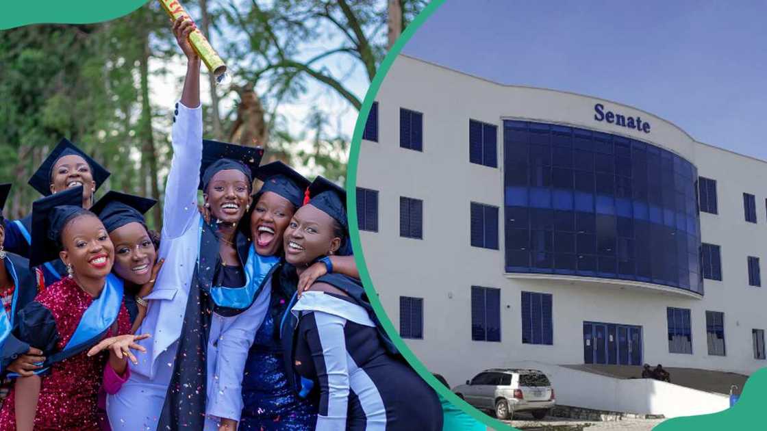 A group of happy students celebrating graduation A group of happy students celebrating graduation