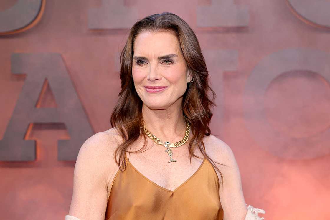 Brooke Shields at AMC Lincoln Square Brooke Shields at AMC Lincoln Square