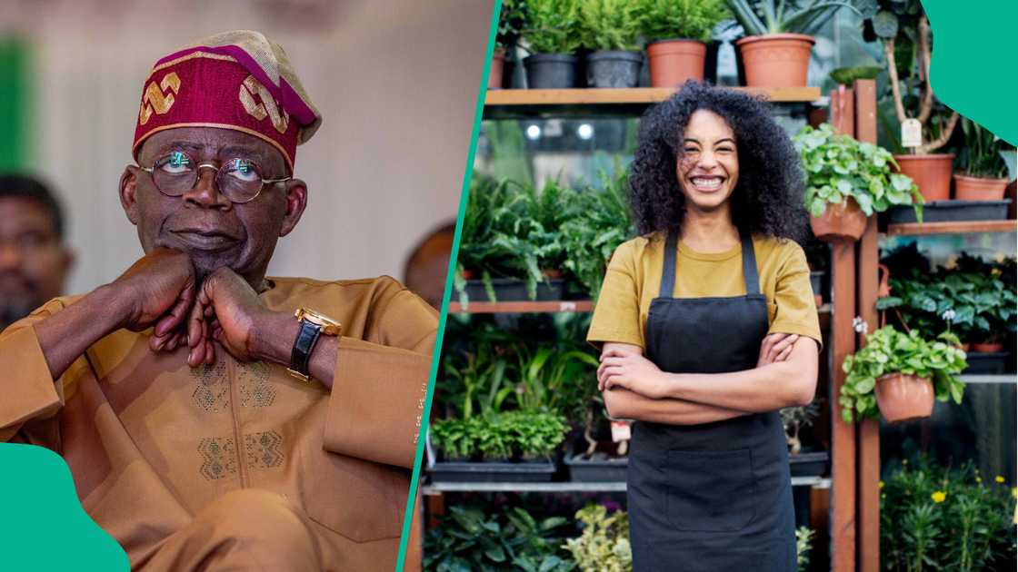 Nigerians are encouraged to apply as Tinubu establishes credit guarantee firm Nigerians are encouraged to apply as Tinubu establishes credit guarantee firm