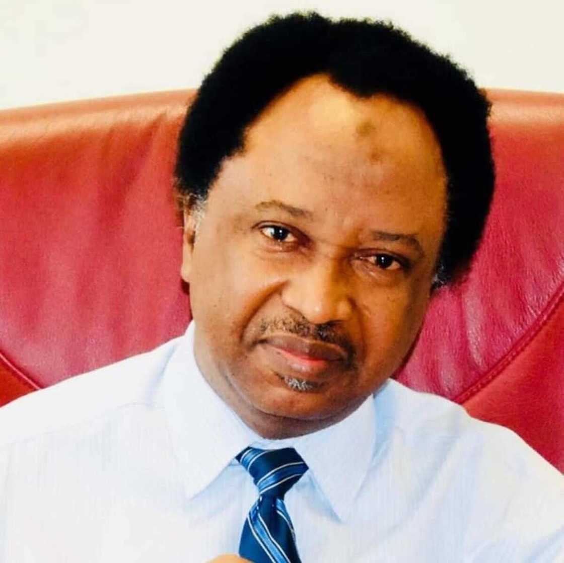 Senator Shehu Sani