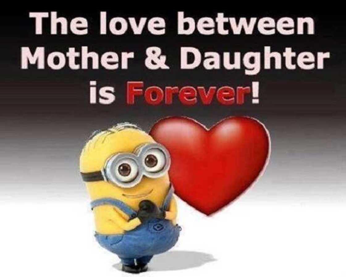 minion meme